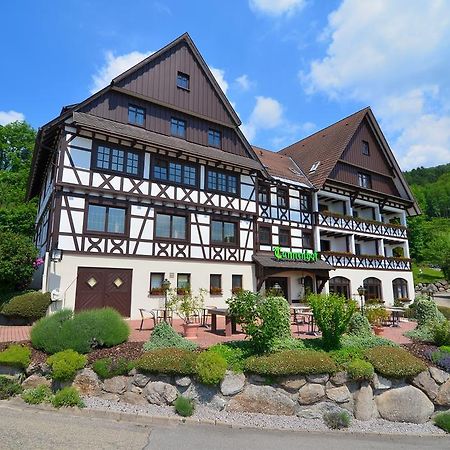 坦奈霍夫莱科斯酒店 萨巴赫瓦登 外观 照片